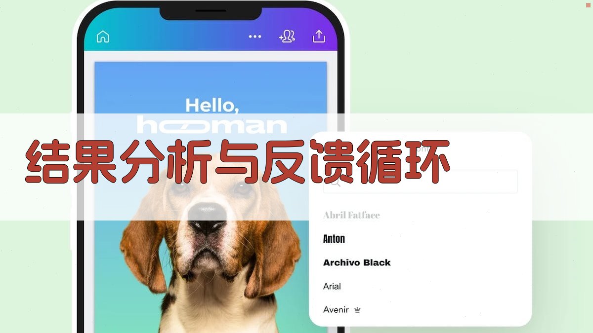 结果分析与反馈循环 图5