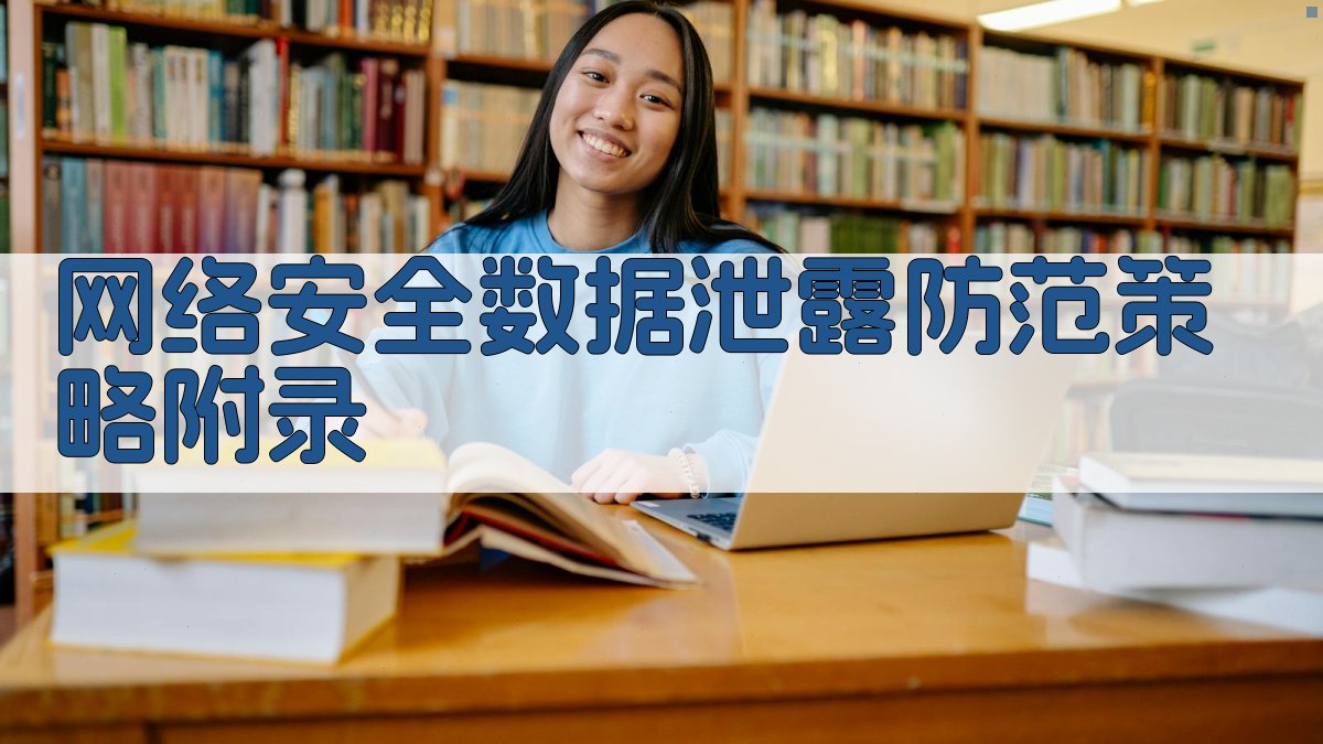 网络安全数据泄露防范策略 · 附录 图3