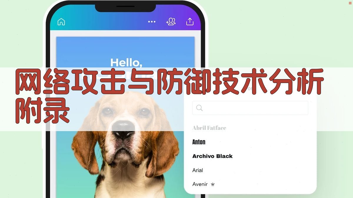 网络攻击与防御技术分析 · 附录 图4