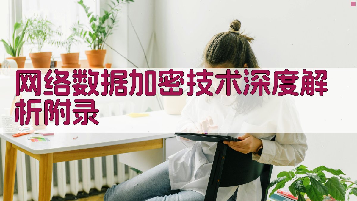 网络数据加密技术深度解析 · 附录 图3