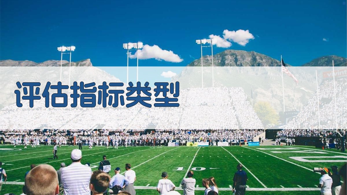 评估指标类型 图2