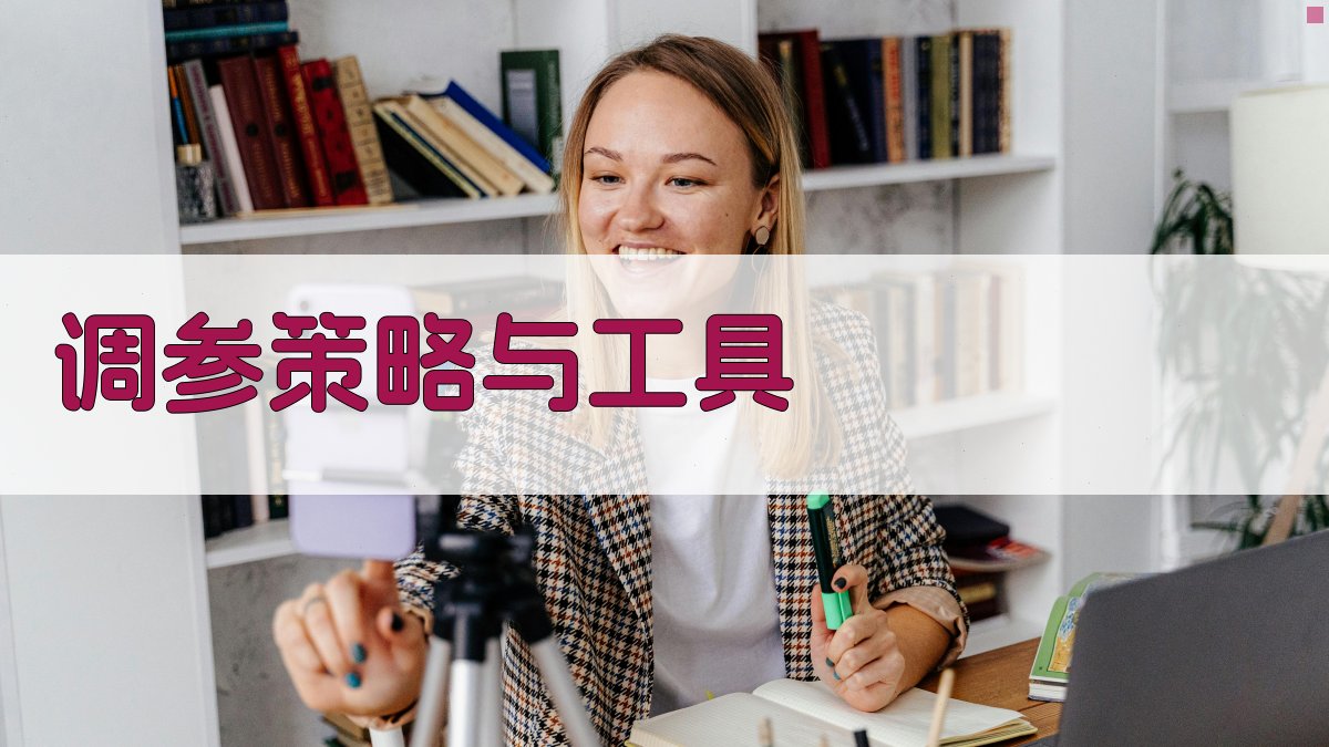 调参策略与工具 图1