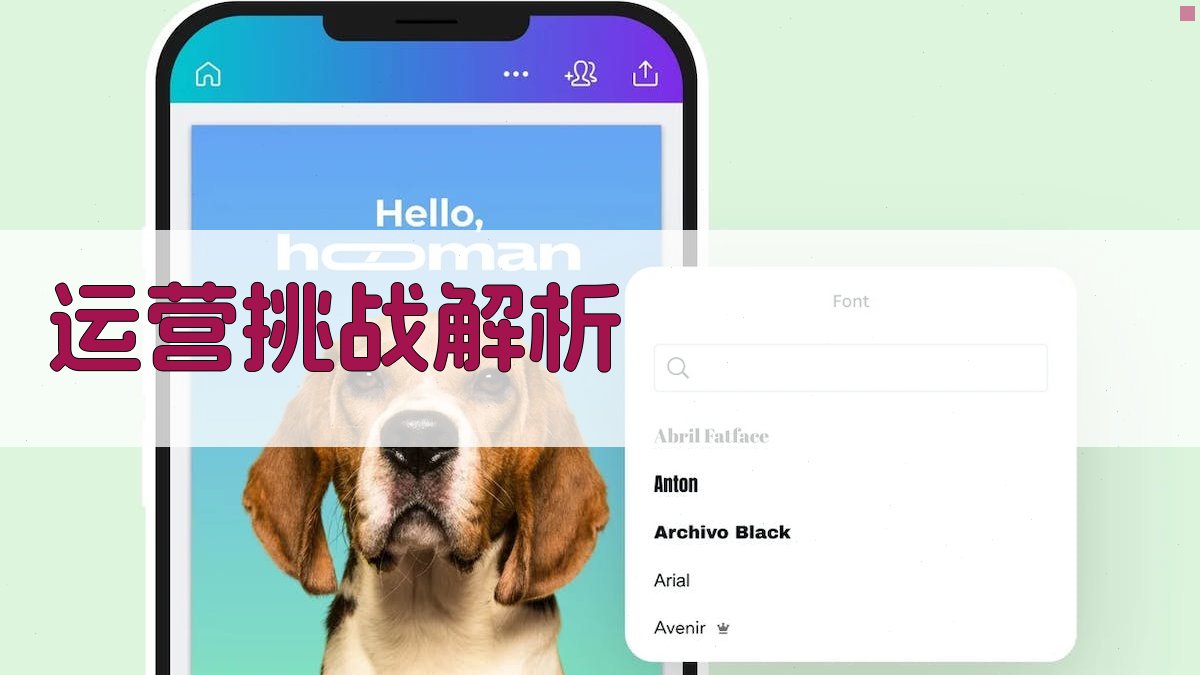 运营挑战解析 图2