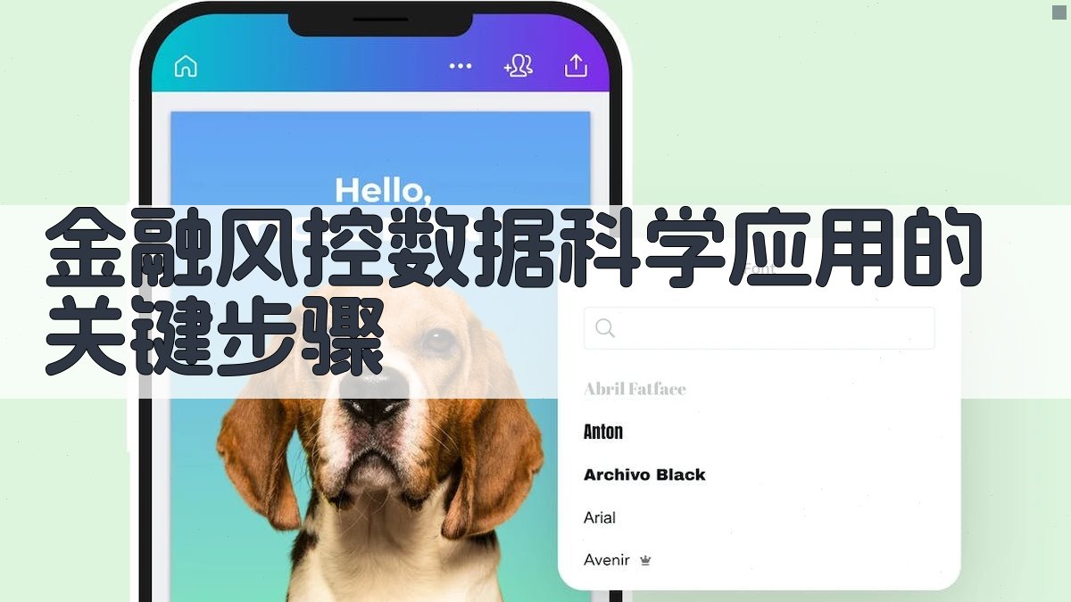 金融风控数据科学应用的关键步骤 图2