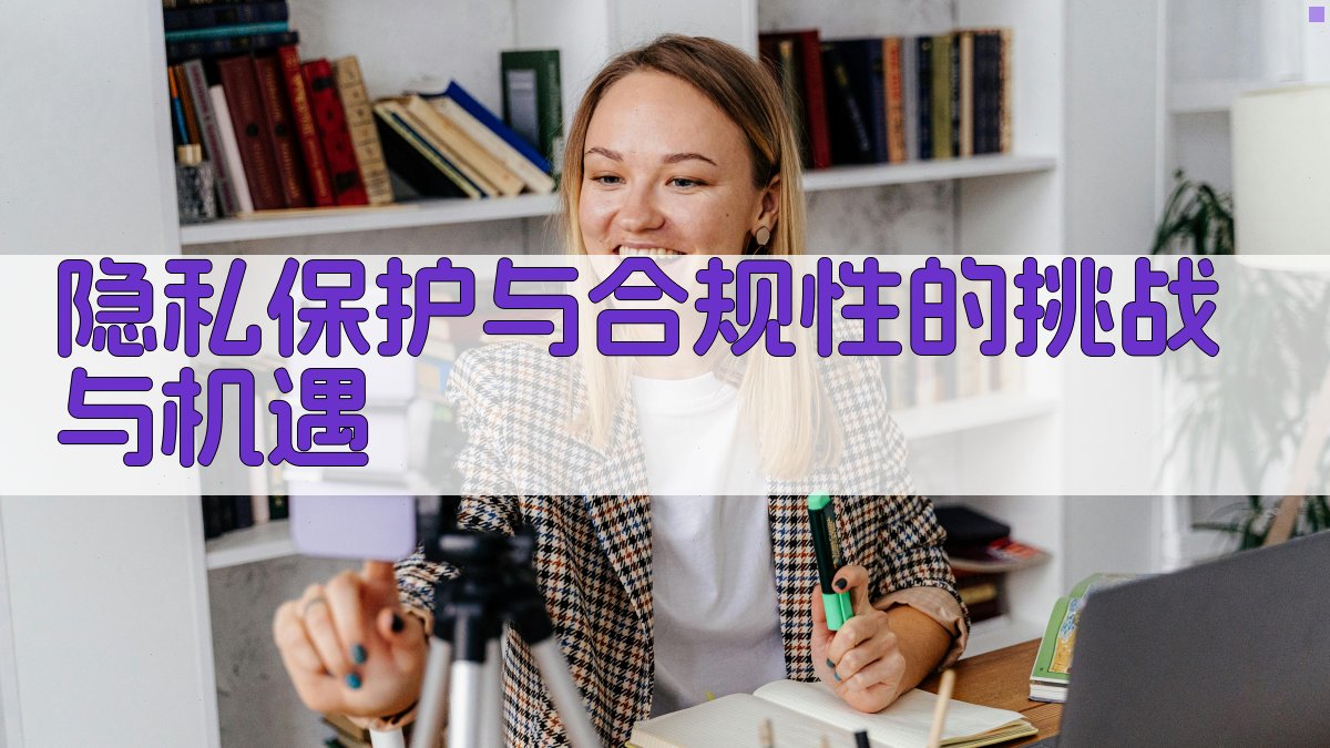 隐私保护与合规性的挑战与机遇 图4