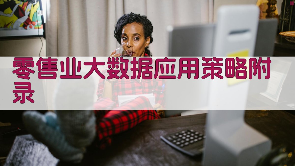 零售业大数据应用策略 · 附录 图5