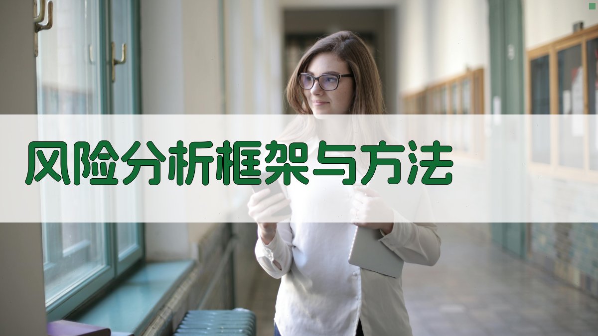 风险分析框架与方法 图2