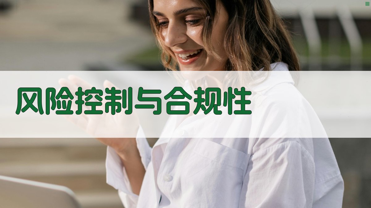 风险控制与合规性 图1