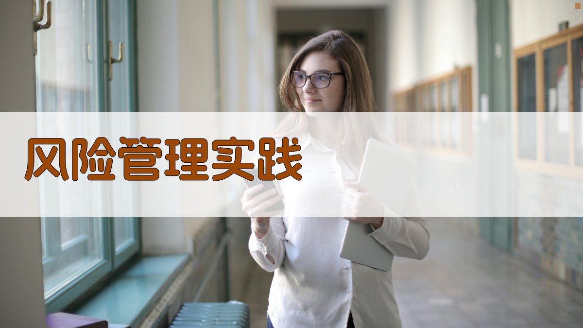 风险管理实践 图3