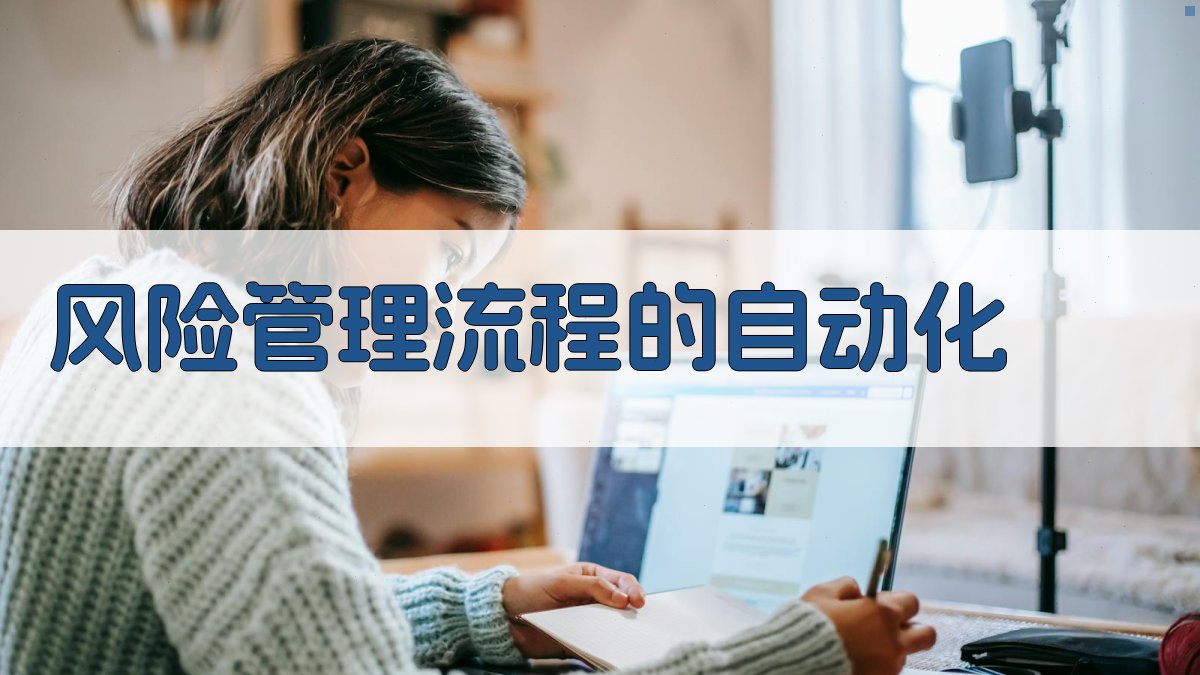 风险管理流程的自动化 图3