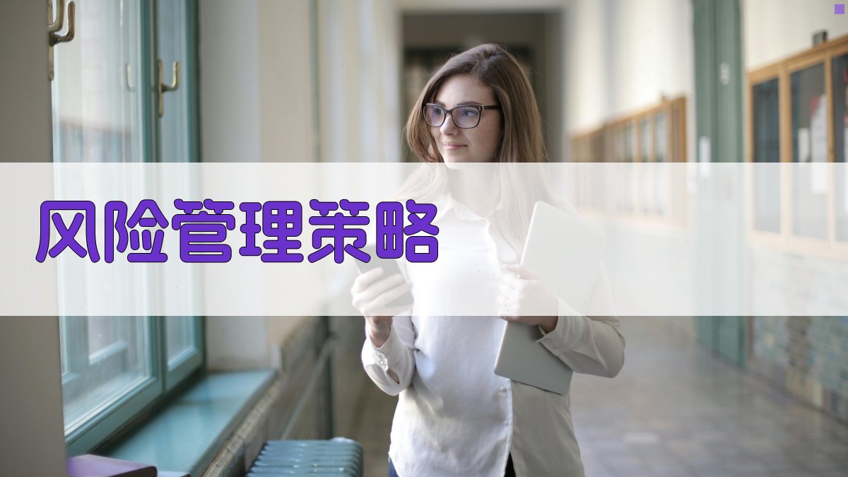 风险管理策略 图5